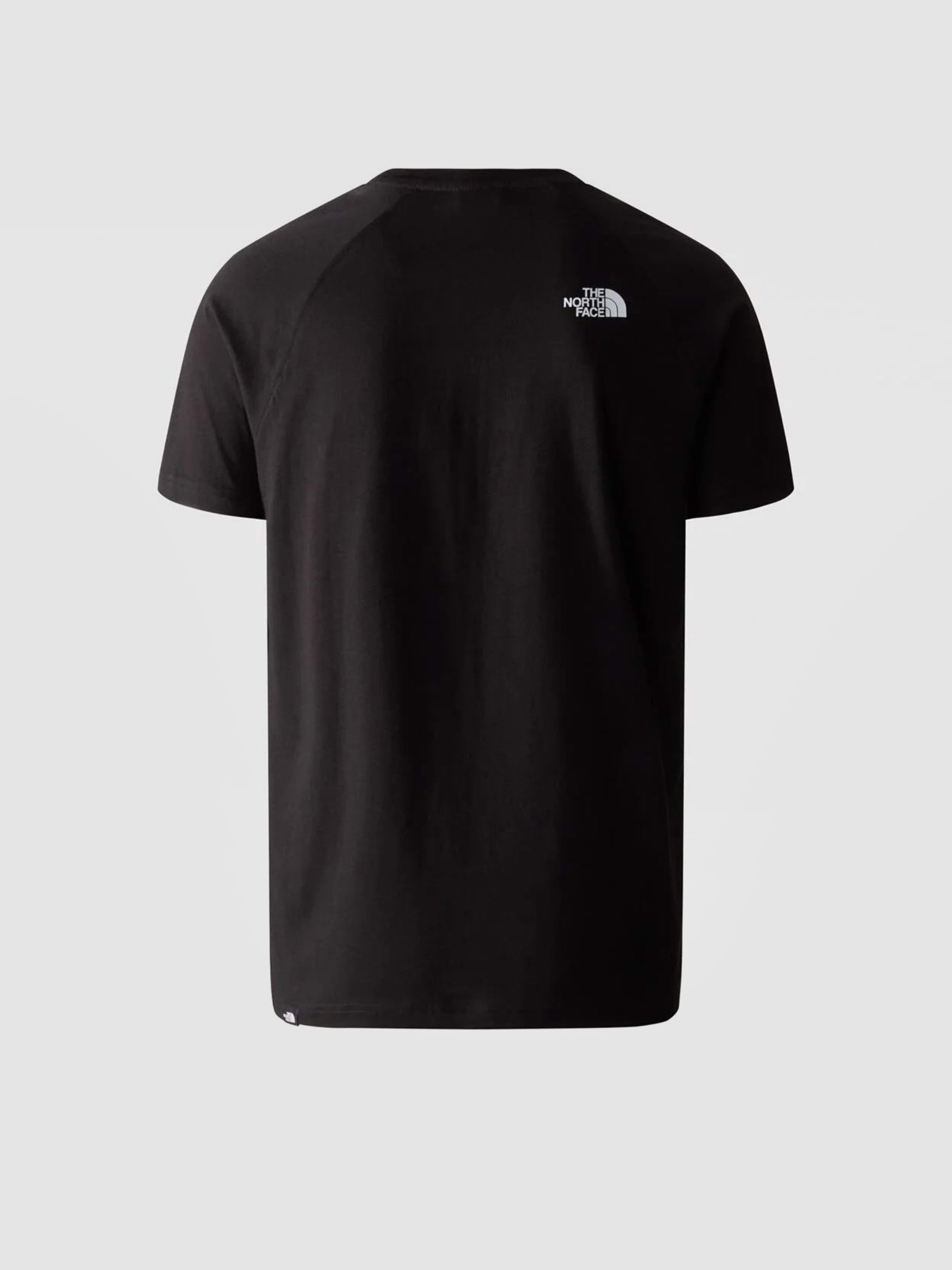 Футболка The North Face Raglan Redbox модель NF0A3BQOO4M1 Фото