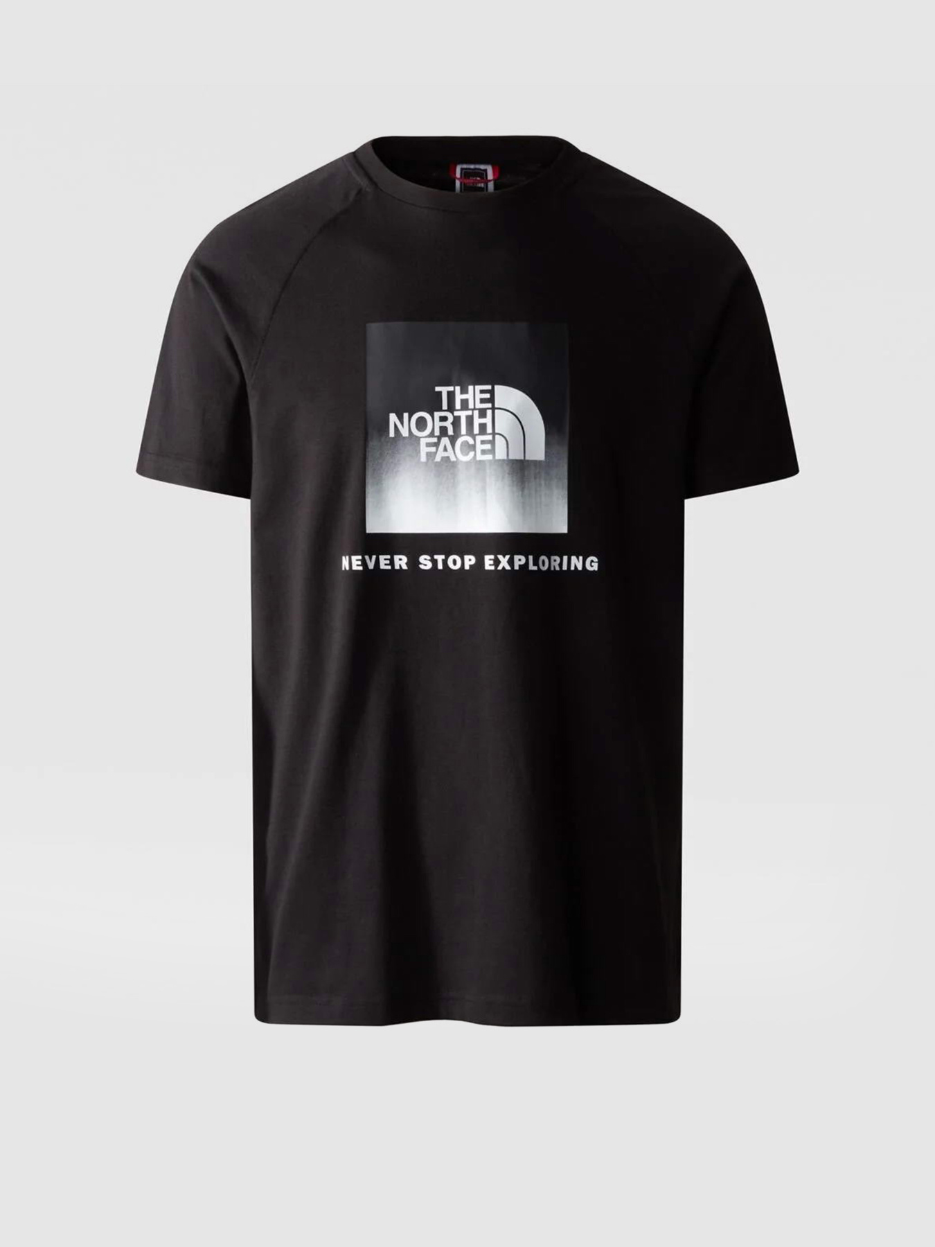 Футболка The North Face Raglan Redbox модель NF0A3BQOO4M1 Фото