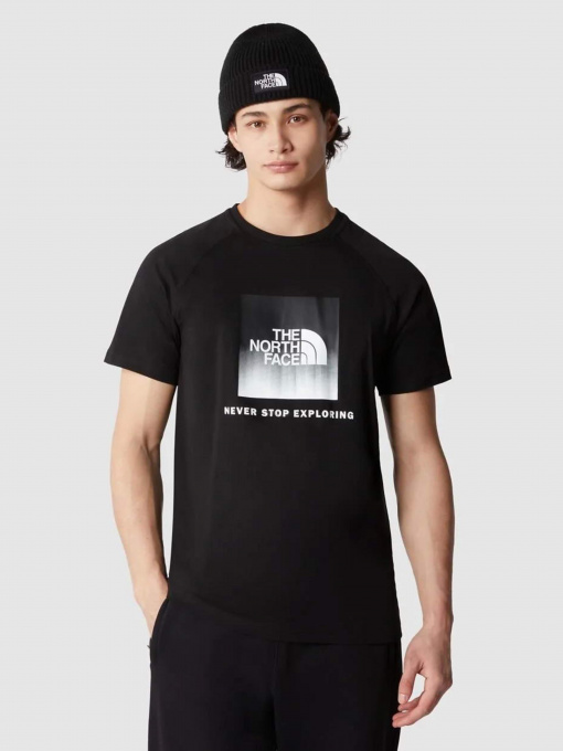 Футболка The North Face Raglan Redbox модель NF0A3BQOO4M1 Фото