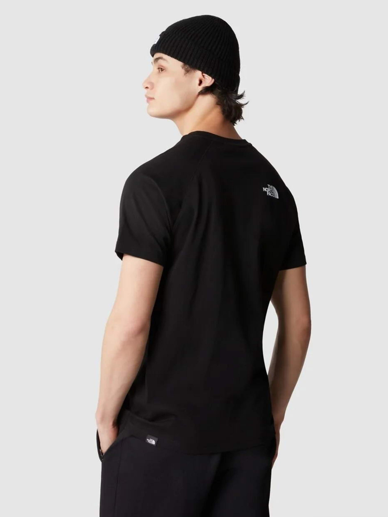 Футболка The North Face Raglan Redbox модель NF0A3BQOO4M1 Фото