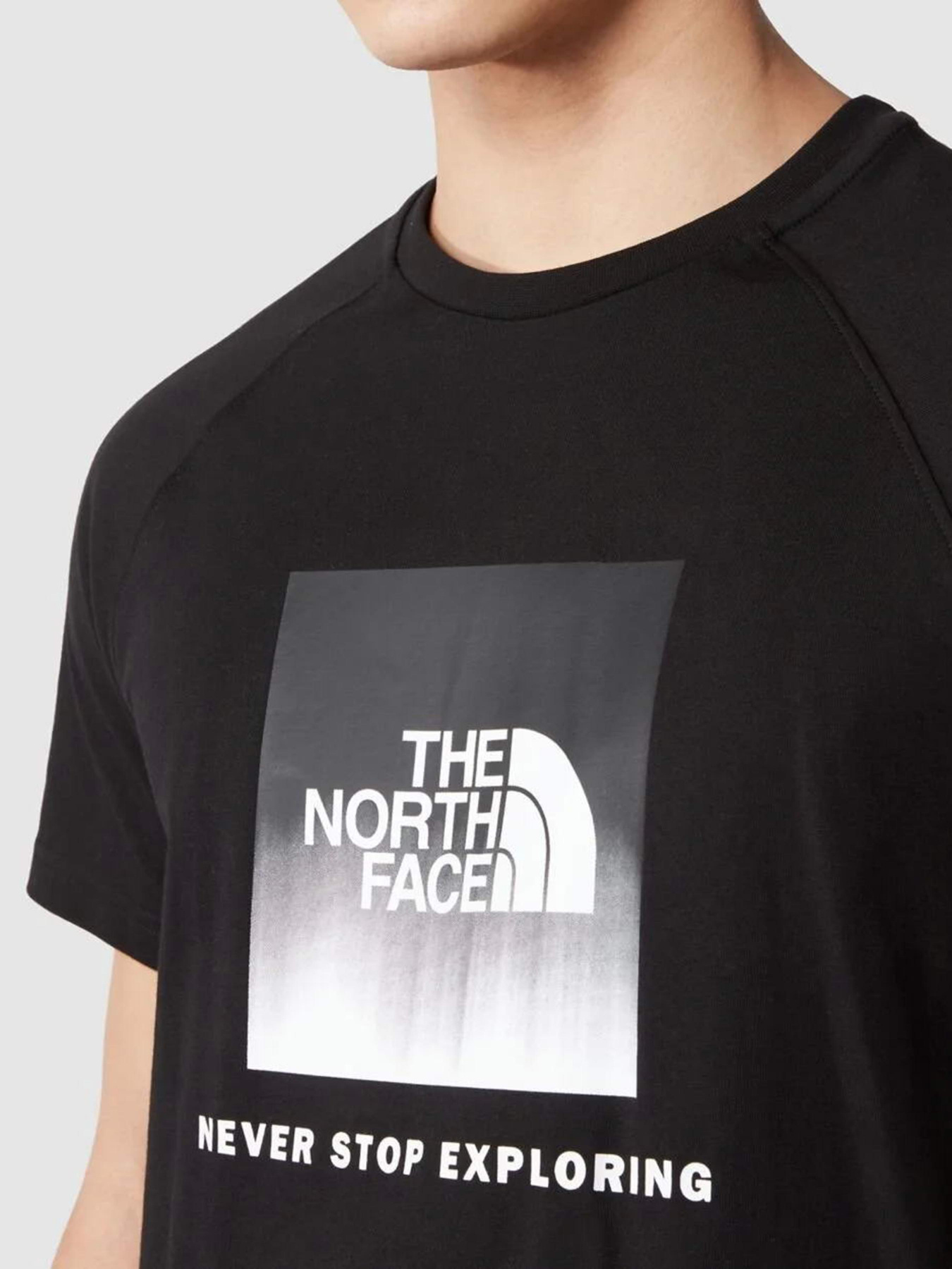 Футболка The North Face Raglan Redbox модель NF0A3BQOO4M1 Фото