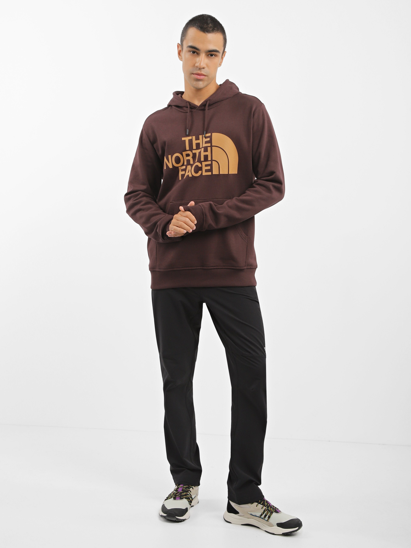 Худи The North Face Graphic модель NF0A3XYDKOT1 Фото