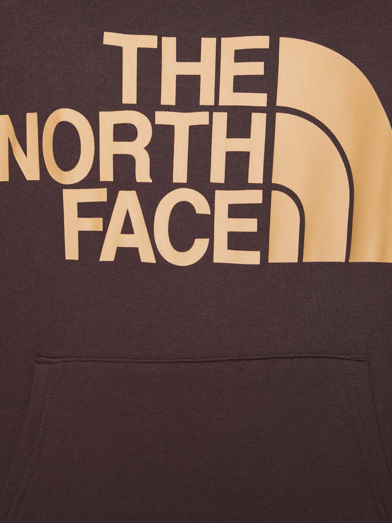 Худі The North Face Graphic модель NF0A3XYDKOT1 Фото