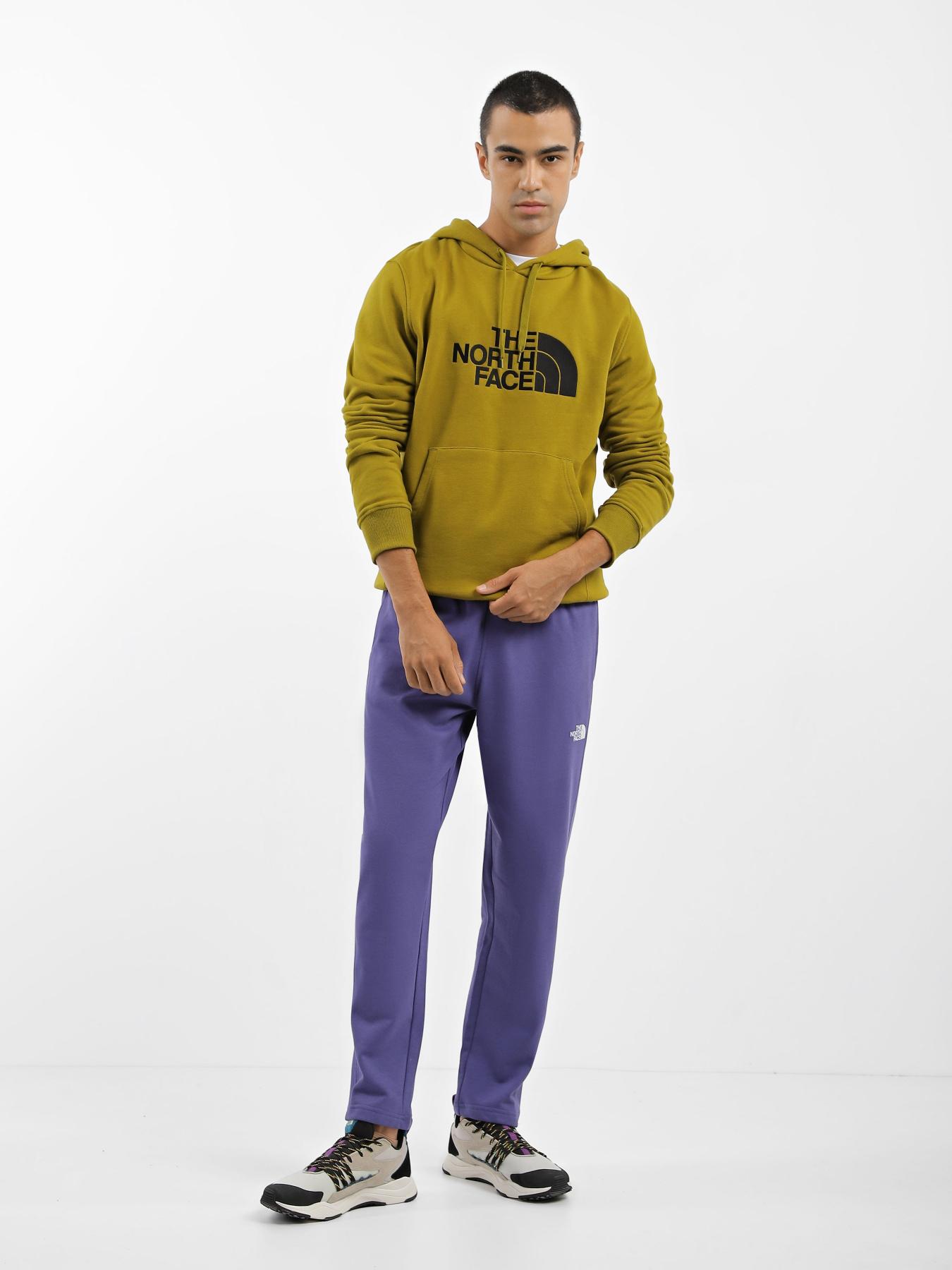 Штаны спортивные The North Face Standard модель NF0A4M7LI0D1 Фото