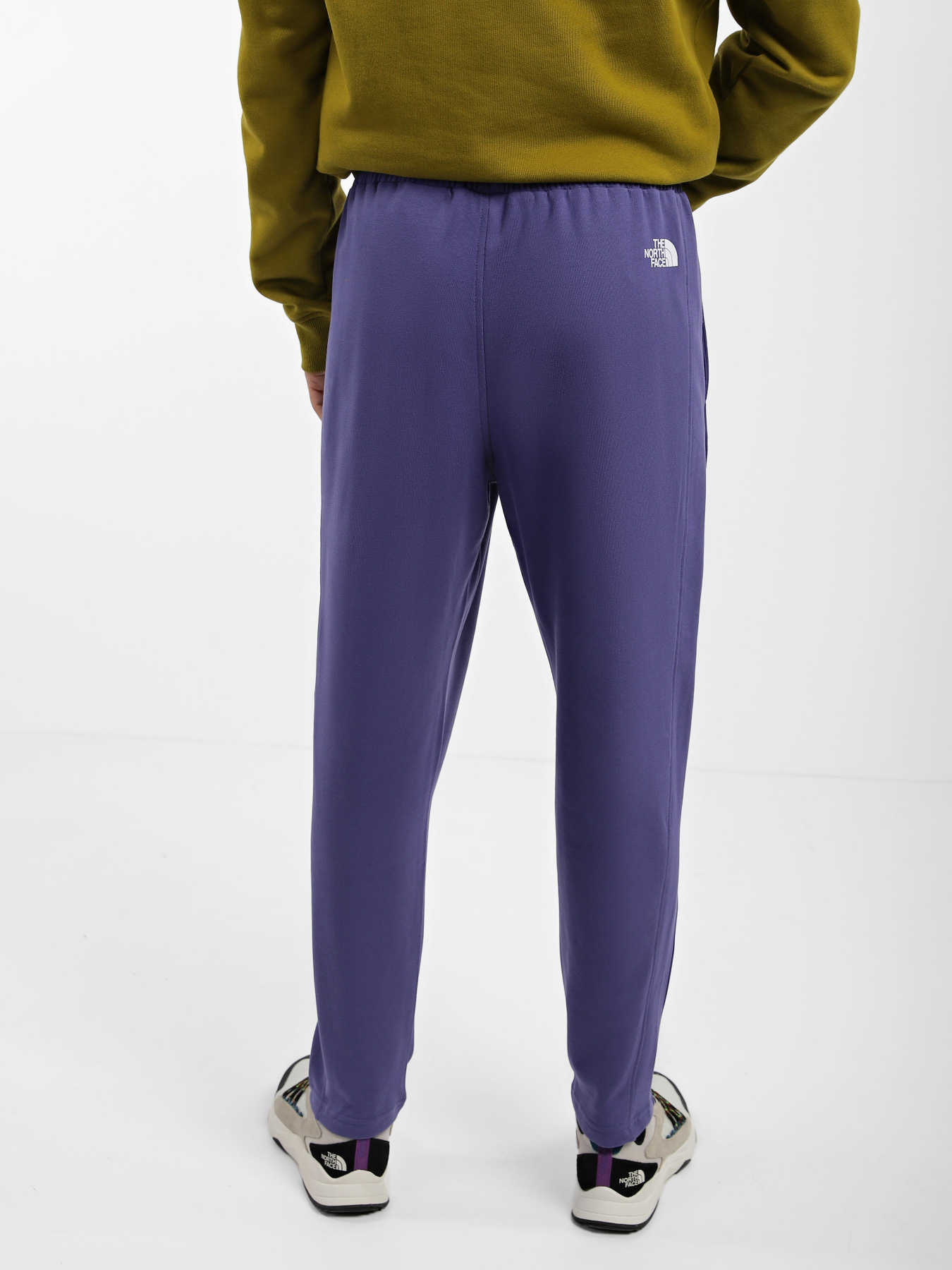 Штаны спортивные The North Face Standard модель NF0A4M7LI0D1 Фото