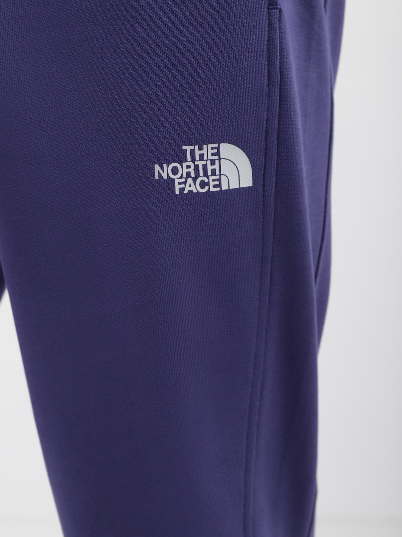 Штаны спортивные The North Face Standard модель NF0A4M7LI0D1 Фото