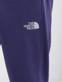 Штаны спортивные The North Face Standard модель NF0A4M7LI0D1 Фото