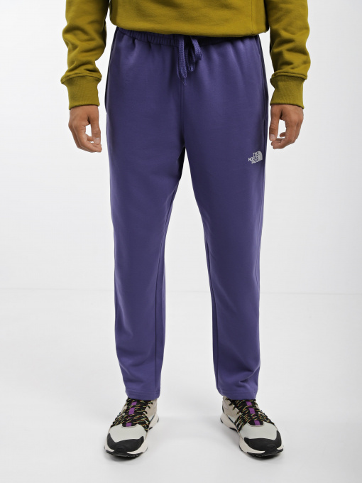 Штаны спортивные The North Face Standard модель NF0A4M7LI0D1 Фото