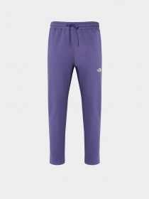 Спортивні штани The North Face Standard модель NF0A4M7LI0D1 Фото