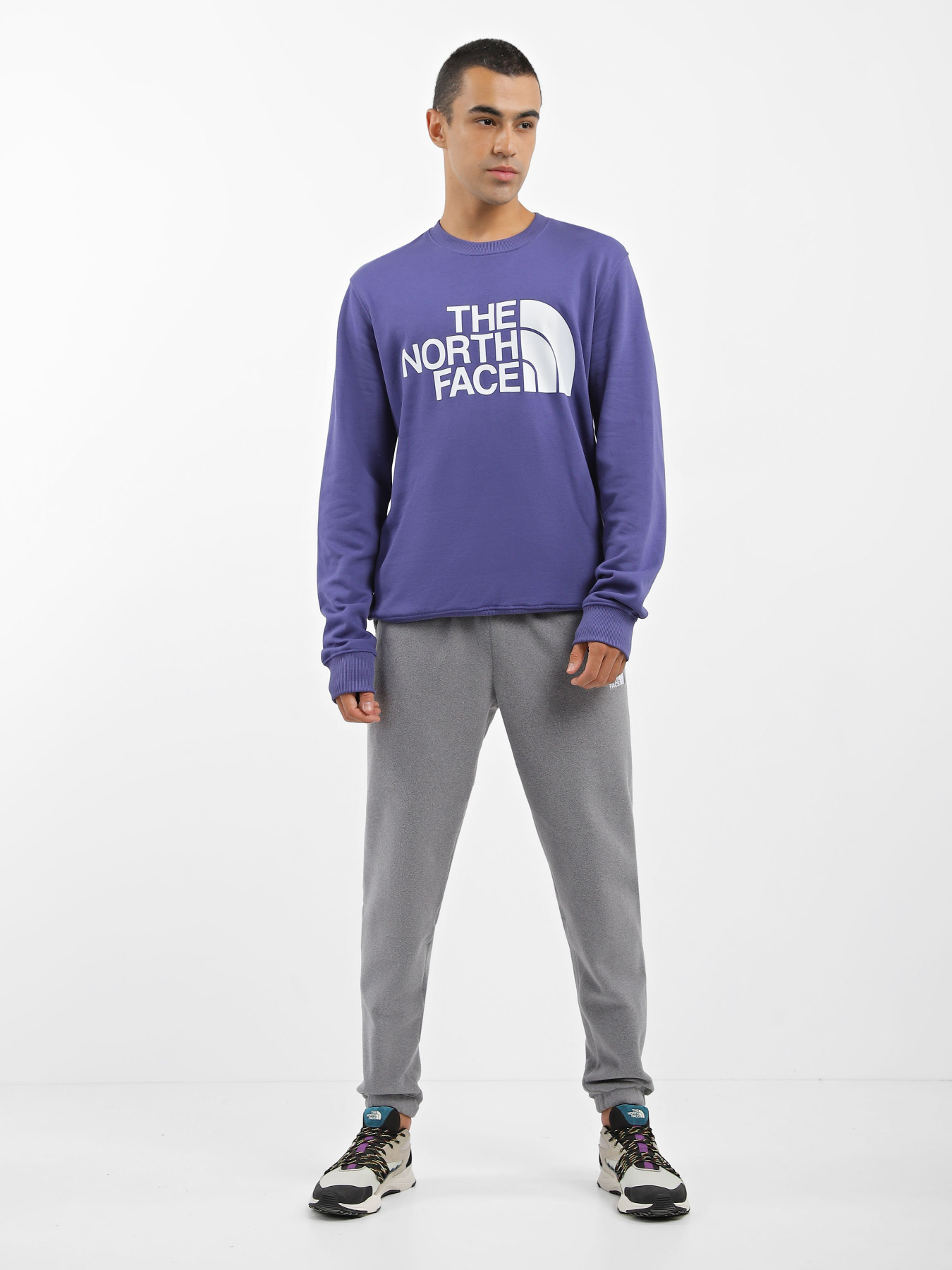 Свитшот The North Face Standard Crew модель NF0A4M7WI0D1 Фото