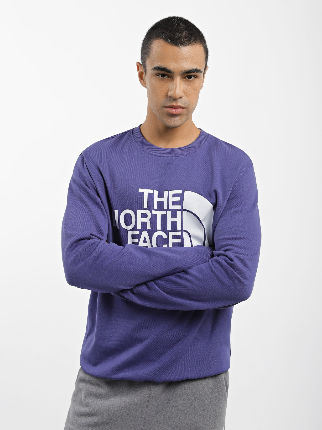 Свитшот The North Face Standard Crew модель NF0A4M7WI0D1 Фото