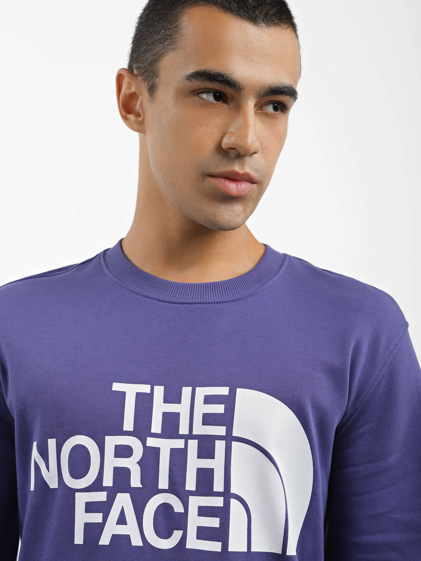 Світшот The North Face Standard Crew модель NF0A4M7WI0D1 Фото