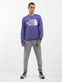 Світшот The North Face Standard Crew модель NF0A4M7WI0D1 Фото