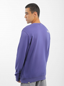 Світшот The North Face Standard Crew модель NF0A4M7WI0D1 Фото