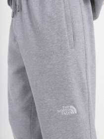 Штаны спортивные The North Face Nse Outdoor модель NF0A4SVQDYX1 Фото