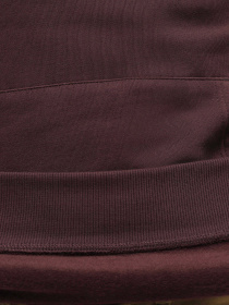 Худі The North Face Fine Arrowwood модель NF0A5ICXOS61 Фото