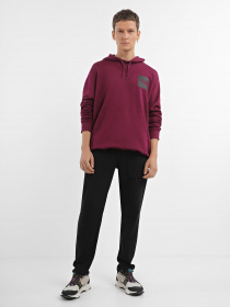 Худи The North Face Fine Hoodie Arrowwood модель NF0A5ICXI0H1 Фото