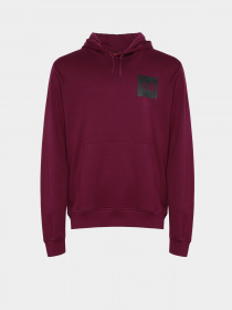 Худи The North Face Fine Hoodie Arrowwood модель NF0A5ICXI0H1 Фото