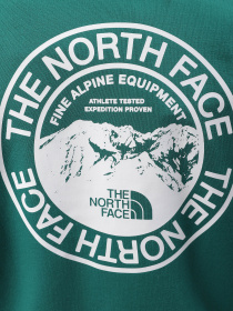 Кофта The North Face Biner Graphic модель NF0A7R4PI0X1 Фото
