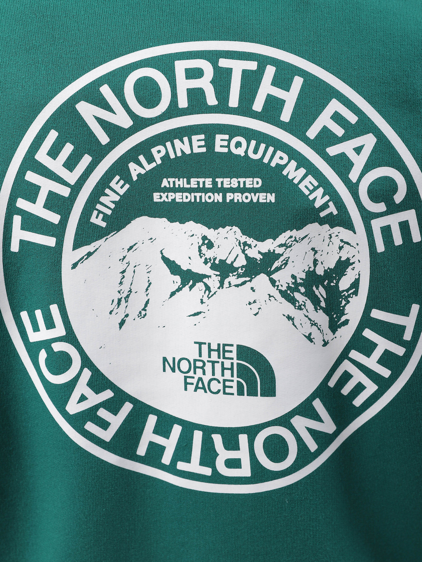 Кофта The North Face Biner Graphic модель NF0A7R4PI0X1 Фото