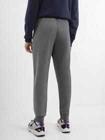 Штаны спортивные The North Face Drew Peak Melange модель NF0A7X1HDYY1 Фото