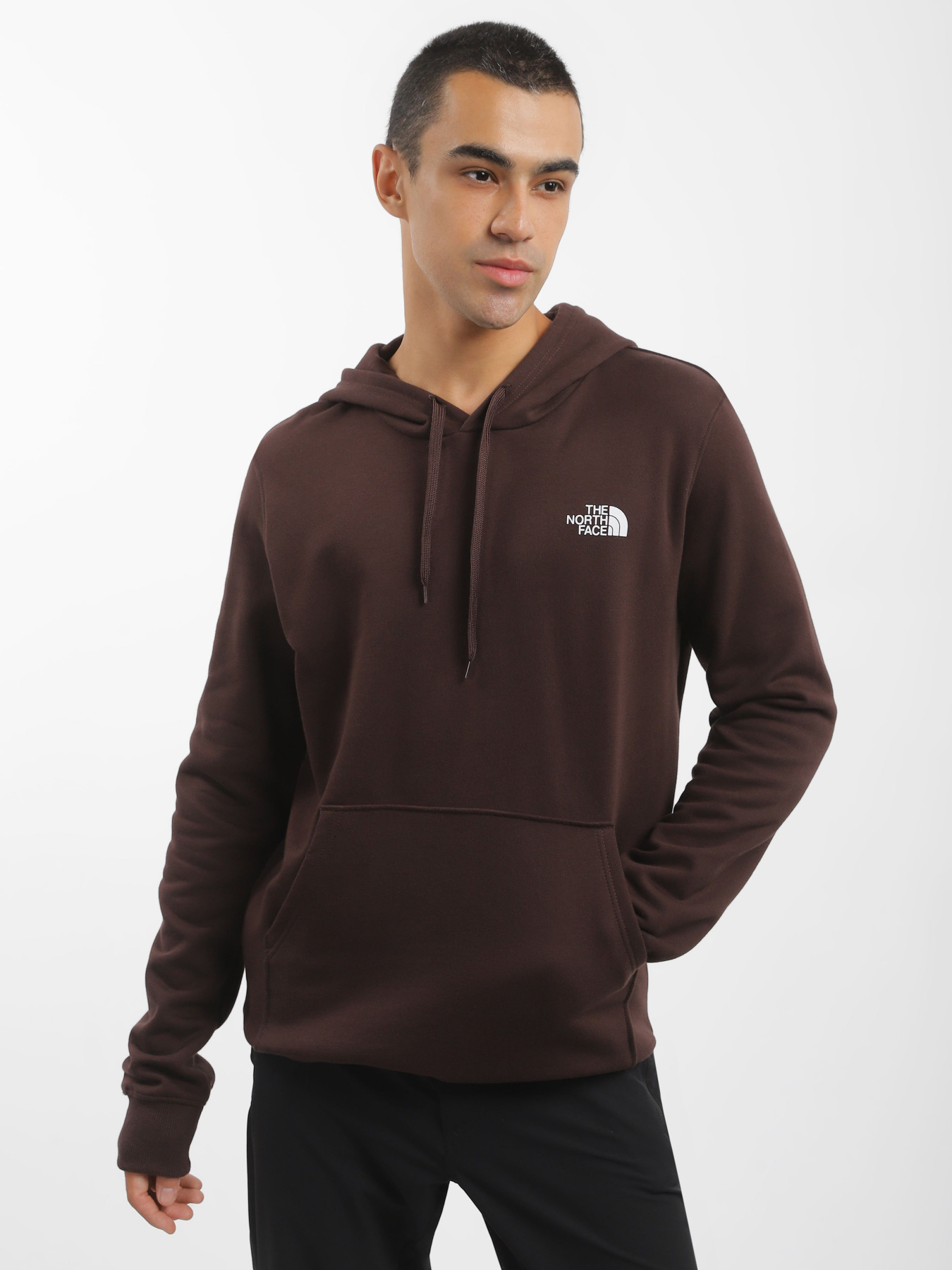 Худи The North Face Simple Dome модель NF0A7X1JI0I1 Фото