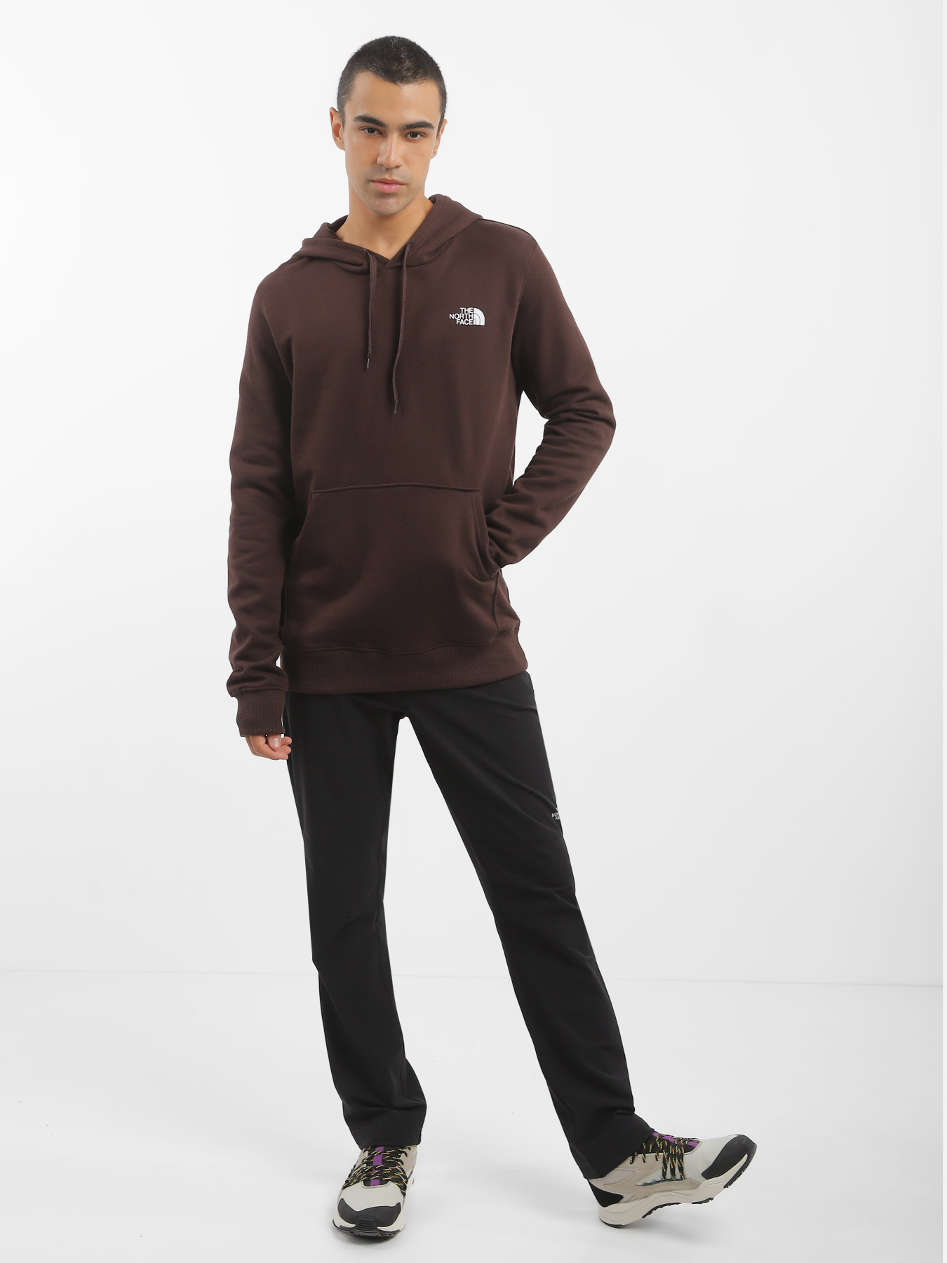 Худі The North Face Simple Dome модель NF0A7X1JI0I1 Фото