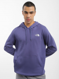 Худи The North Face Simple Dome модель NF0A7X1JI0D1 Фото