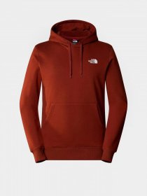 Худи The North Face Seasonal Graphic модель NF0A7X1PUBC1 Фото