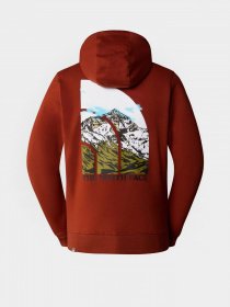 Худи The North Face Seasonal Graphic модель NF0A7X1PUBC1 Фото