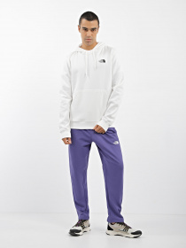 Худі The North Face Simple Dome модель NF0A7X1POFK1 Фото