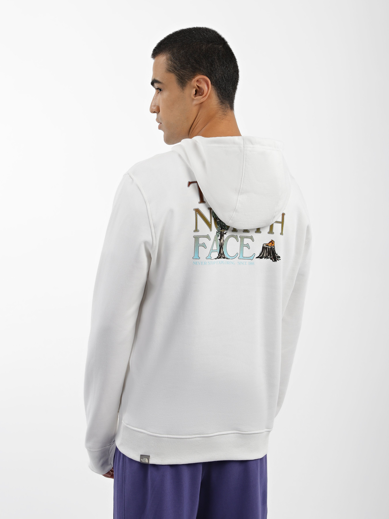 Худі The North Face Simple Dome модель NF0A7X1POFK1 Фото