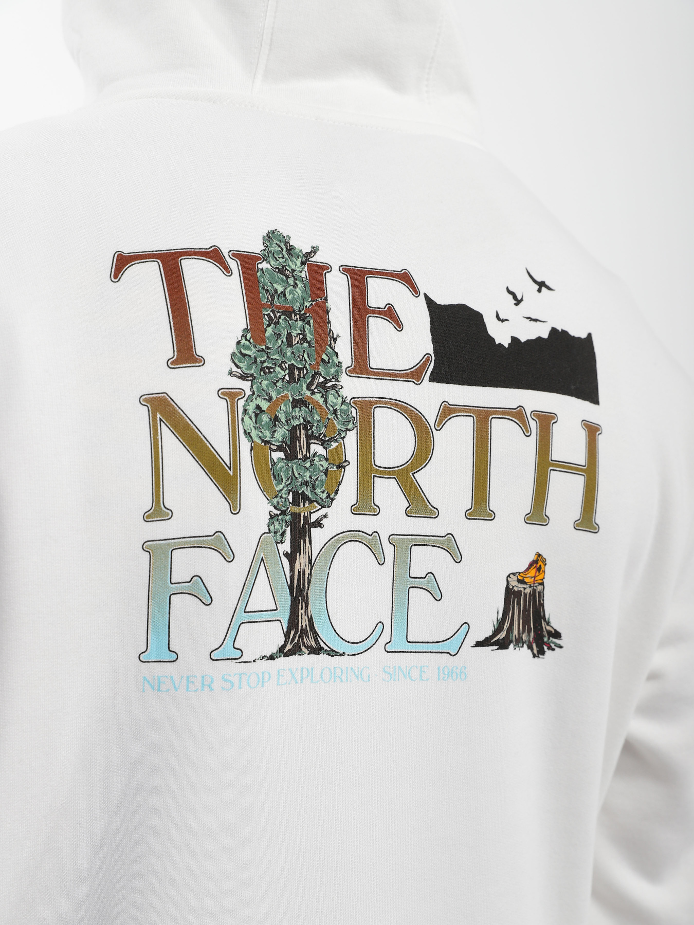 Худі The North Face Simple Dome модель NF0A7X1POFK1 Фото