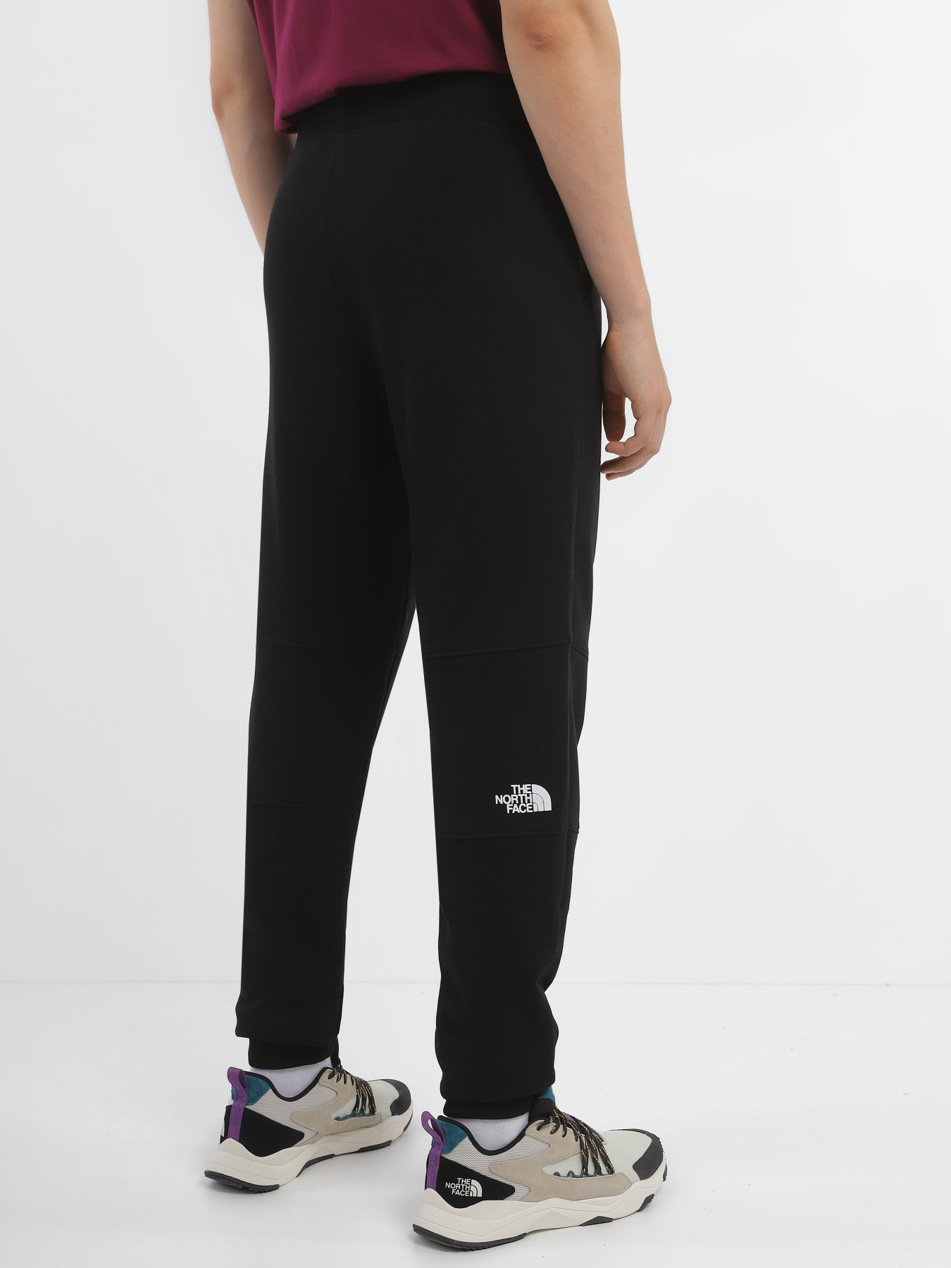 Спортивні штани The North Face Logo Printed модель NF0A827GJK31 Фото