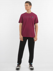 Спортивні штани The North Face Logo Printed модель NF0A827GJK31 Фото