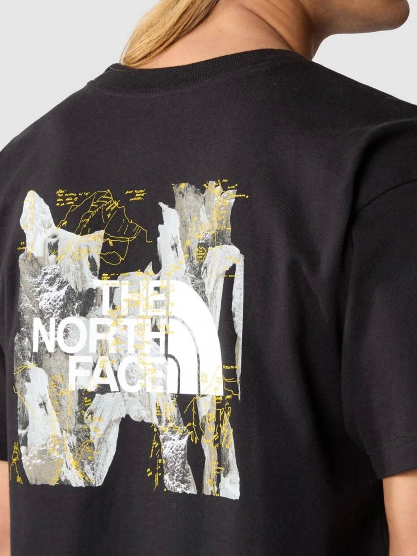 Футболка The North Face Nse Summit Graphic модель NF0A84GSOGC1 Фото