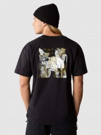 Футболка The North Face Nse Summit Graphic модель NF0A84GSOGC1 Фото