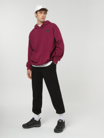 Худи The North Face Coordinates  модель NF0A853ZI0H1 Фото