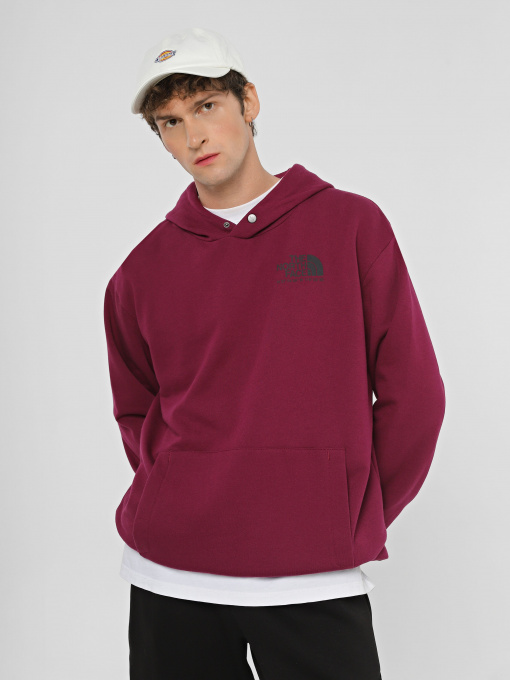 Худи The North Face Coordinates  модель NF0A853ZI0H1 Фото