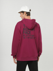 Худи The North Face Coordinates  модель NF0A853ZI0H1 Фото