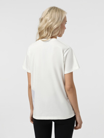 Футболка The North Face Blown Up модель NF0A8546N2I1 Фото