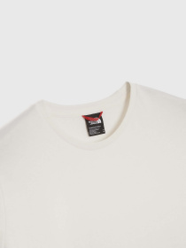 Футболка The North Face Blown Up модель NF0A8546N2I1 Фото