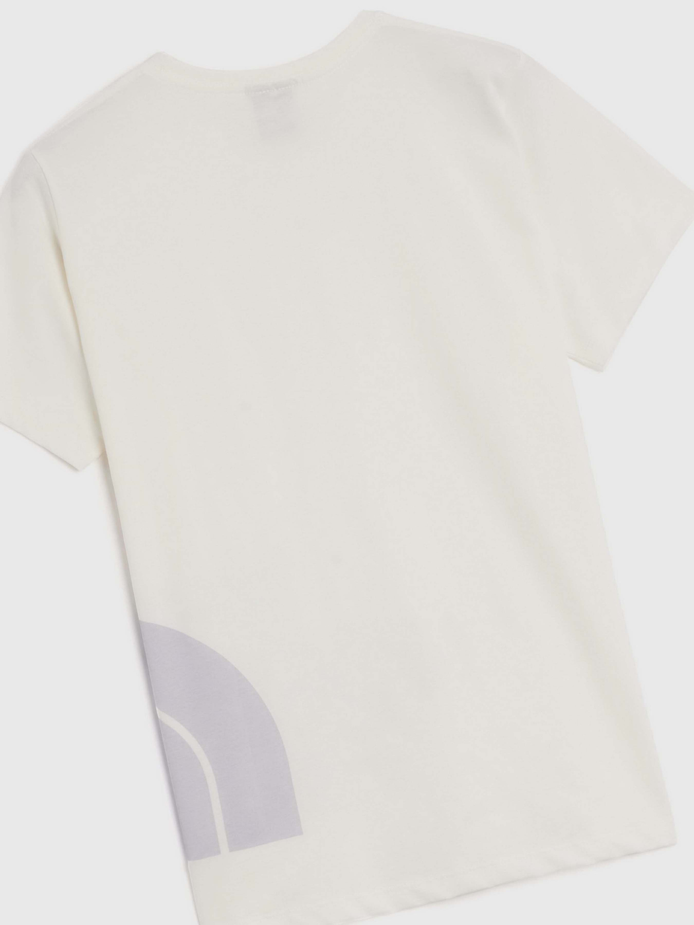 Футболка The North Face Blown Up модель NF0A8546N2I1 Фото