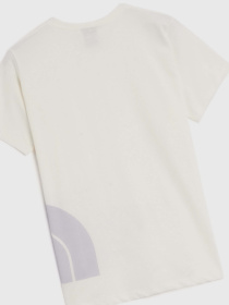 Футболка The North Face Blown Up модель NF0A8546N2I1 Фото