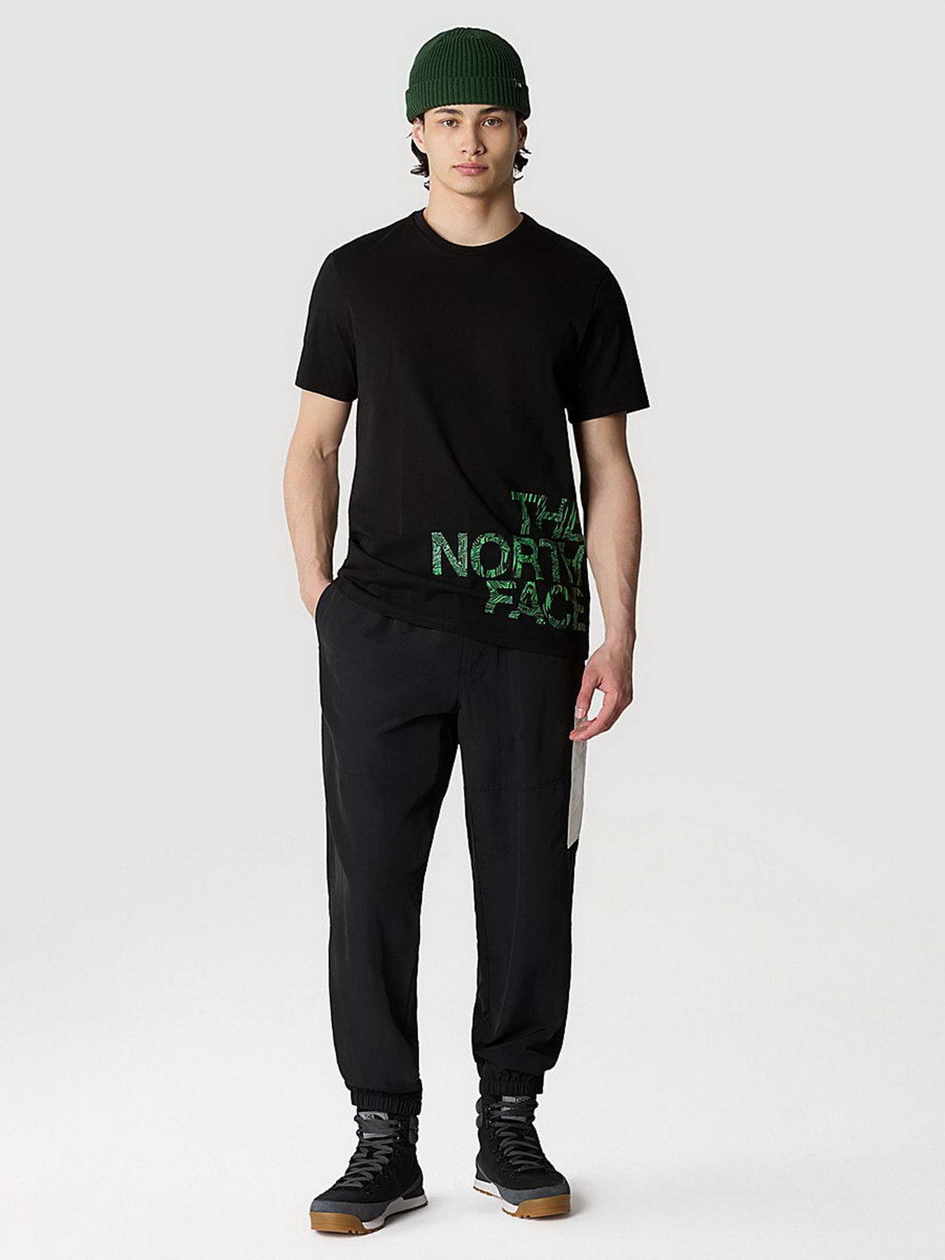 Футболка The North Face Blown Up модель NF0A8548JK31 Фото