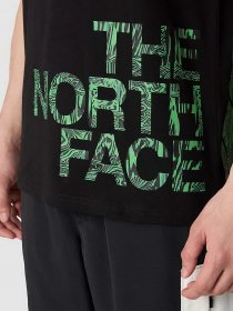Футболка The North Face Blown Up модель NF0A8548JK31 Фото