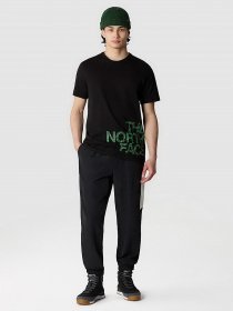 Футболка The North Face Blown Up модель NF0A8548JK31 Фото