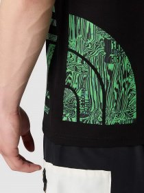 Футболка The North Face Blown Up модель NF0A8548JK31 Фото