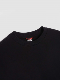 Світшот The North Face Logo Printed Crewneck модель NF0A854AJK31 Фото
