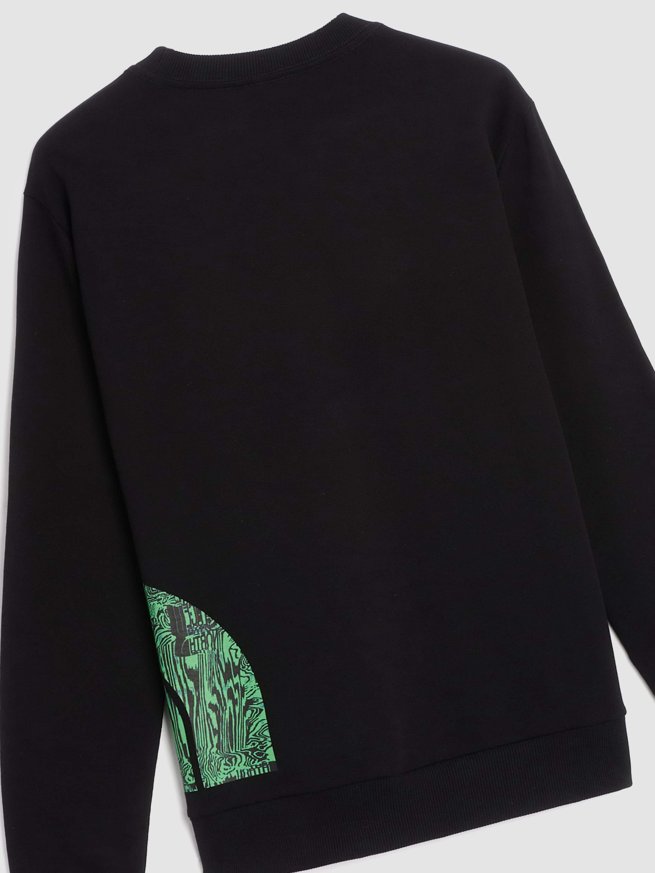 Світшот The North Face Logo Printed Crewneck модель NF0A854AJK31 Фото